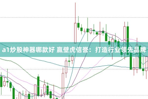 a1炒股神器哪款好 赢壁虎信誉：打造行业领先品牌