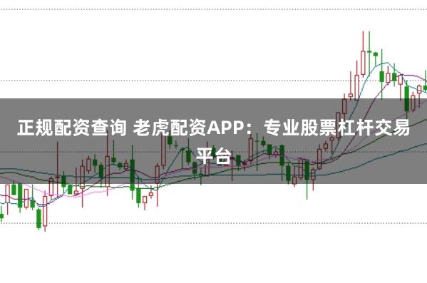 正规配资查询 老虎配资APP：专业股票杠杆交易平台