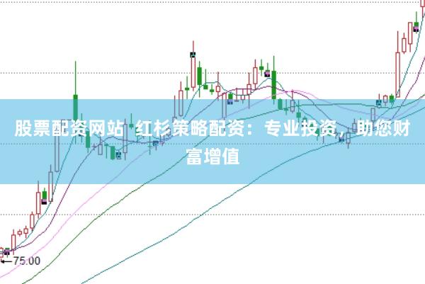 股票配资网站  红杉策略配资：专业投资，助您财富增值