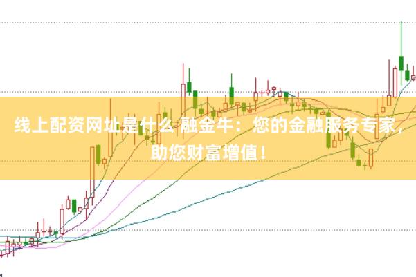 线上配资网址是什么 融金牛：您的金融服务专家，助您财富增值！