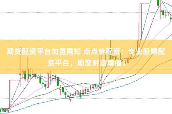 期货配资平台加盟需知 点点金配资：专业股票配资平台，助您财富增值！