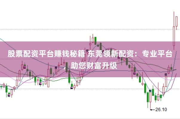 股票配资平台赚钱秘籍 东莞领新配资：专业平台，助您财富升级