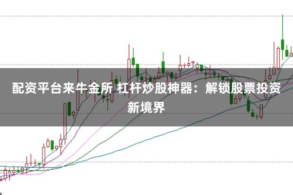 配资平台来牛金所 杠杆炒股神器：解锁股票投资新境界