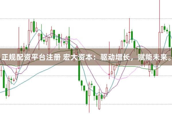 正规配资平台注册 宏大资本：驱动增长，赋能未来。