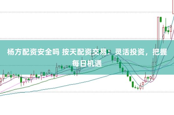 杨方配资安全吗 按天配资交易：灵活投资，把握每日机遇
