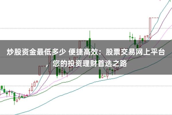 炒股资金最低多少 便捷高效：股票交易网上平台，您的投资理财首选之路