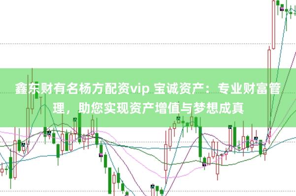 鑫东财有名杨方配资vip 宝诚资产:专业财富管理,助您实现资产增值与梦想成真