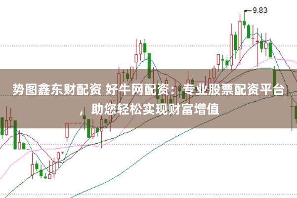 势图鑫东财配资 好牛网配资:专业股票配资平台,助您轻松实现财富增值