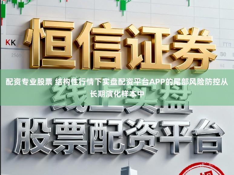 配资专业股票 结构性行情下实盘配资平台APP的尾部风险防控从长期演化样本中