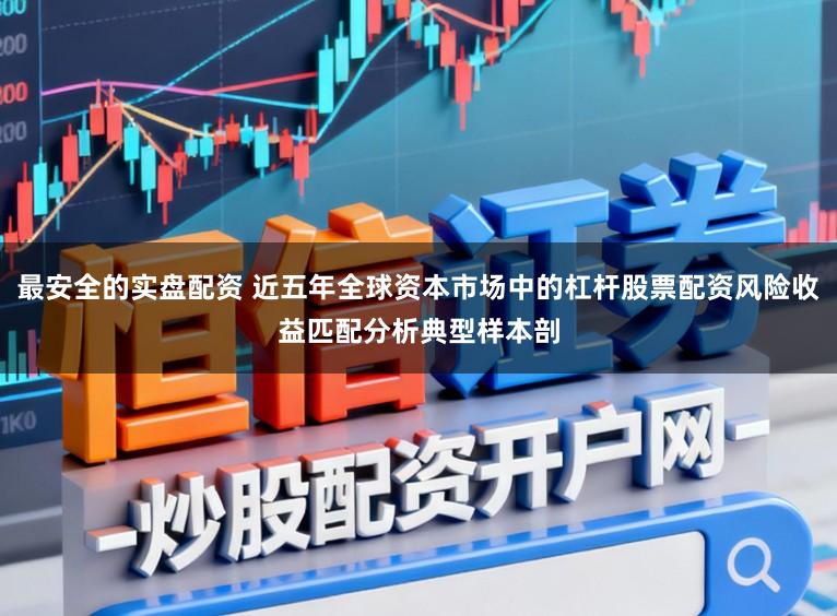 最安全的实盘配资 近五年全球资本市场中的杠杆股票配资风险收益匹配分析典型样本剖