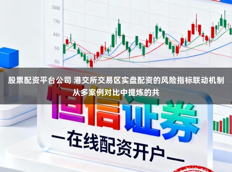 股票配资平台公司 港交所交易区实盘配资的风险指标联动机制从多案例对比中提炼的共